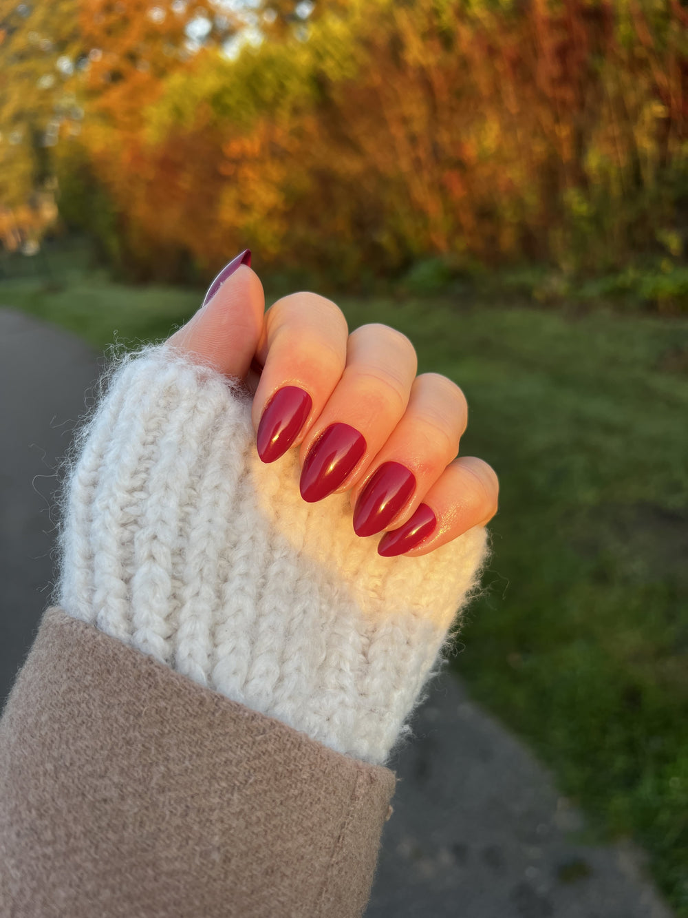 Burgundy press-on nagel