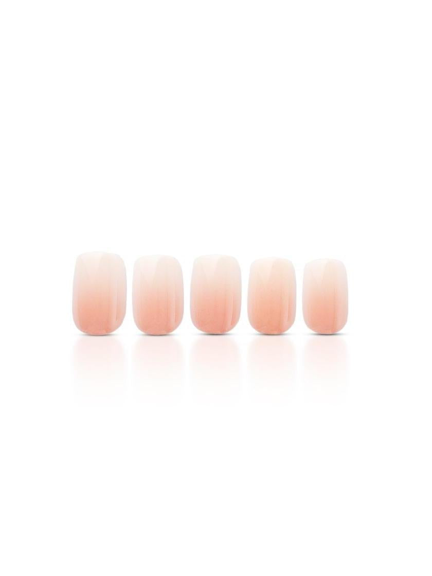 Blush & Bloom